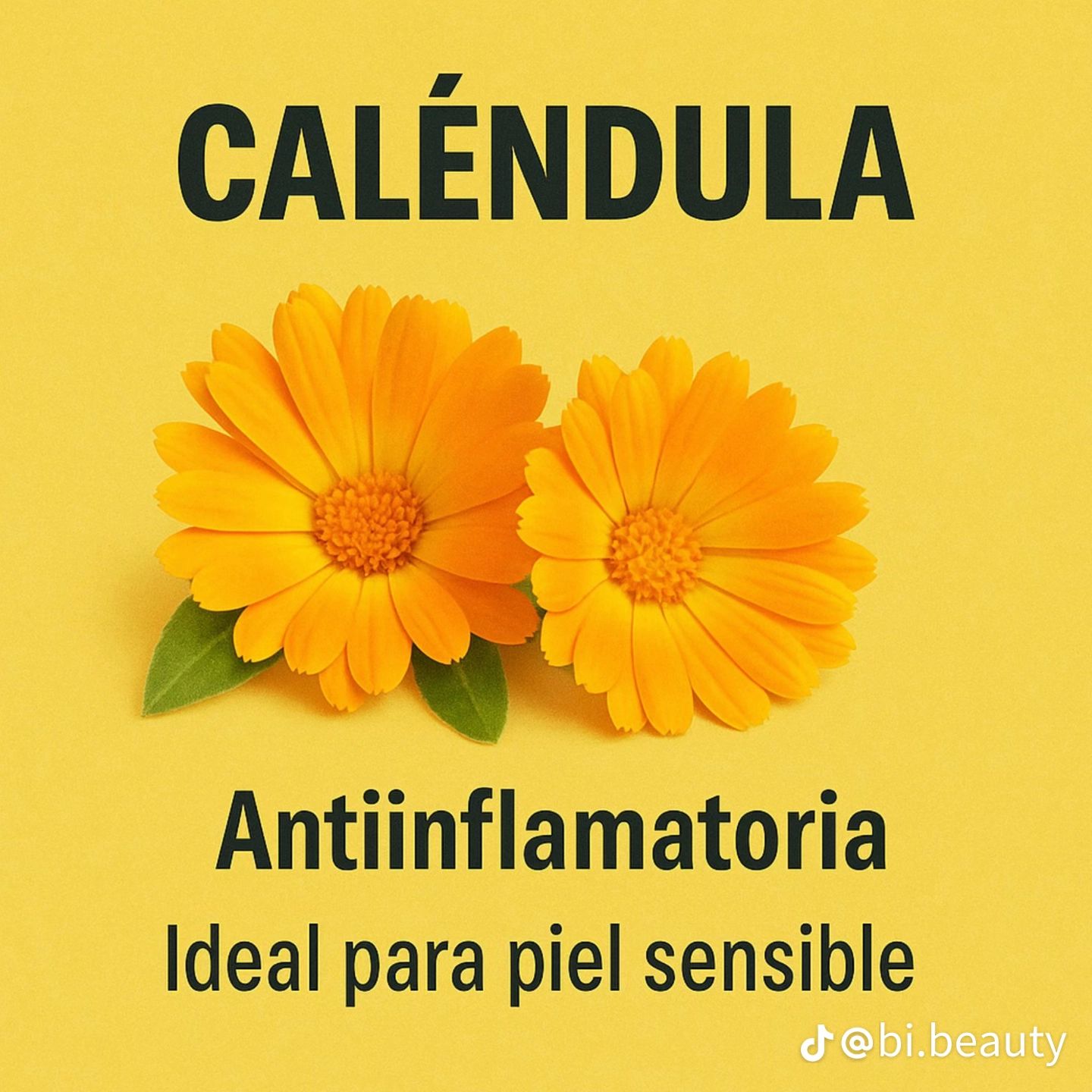 Evil Goods crema viral Super Hidratante de sebo de ternera.